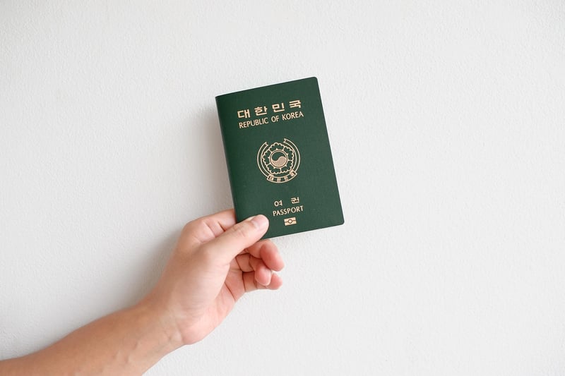 Travel Wallet